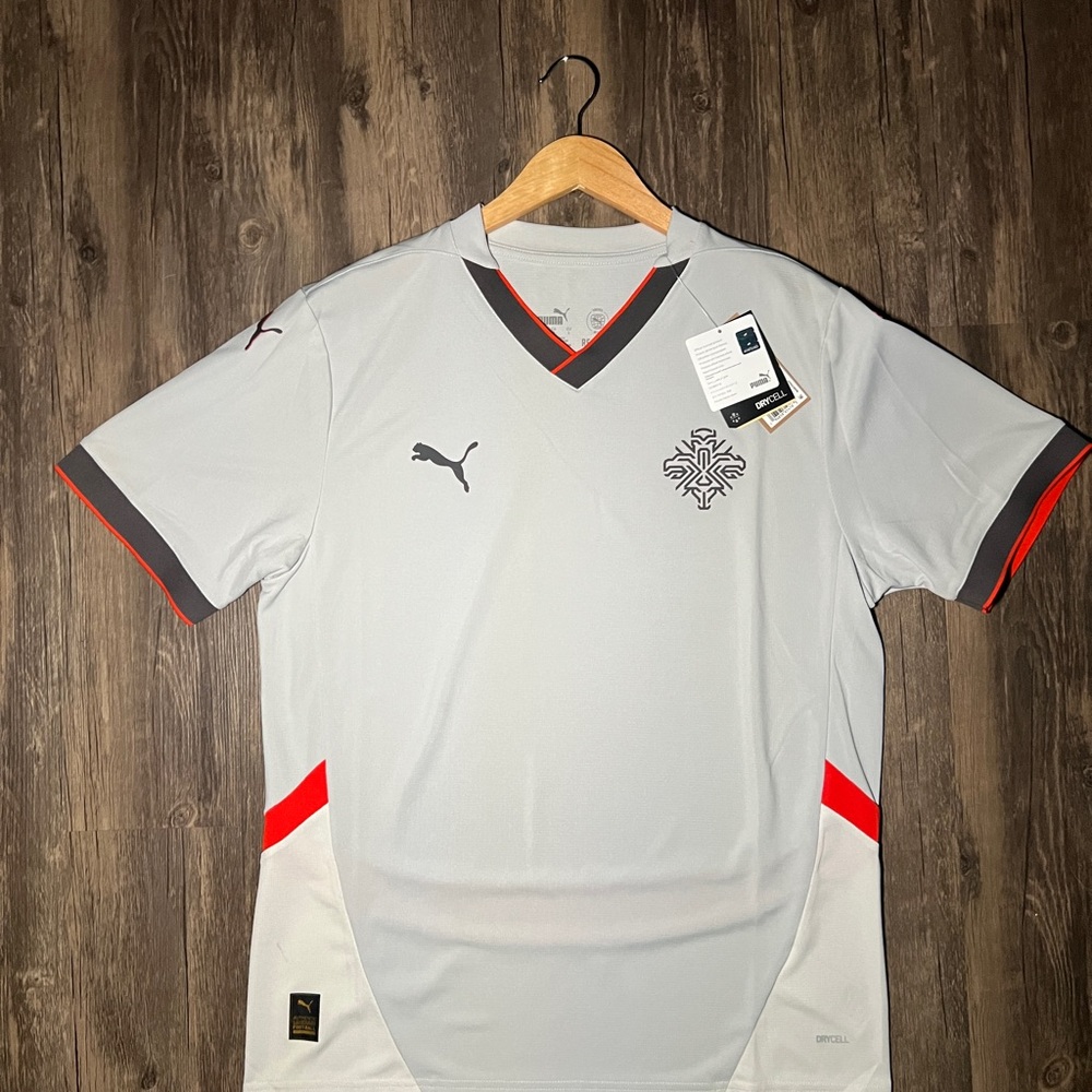 Puma Men's Gray and Red Jersey